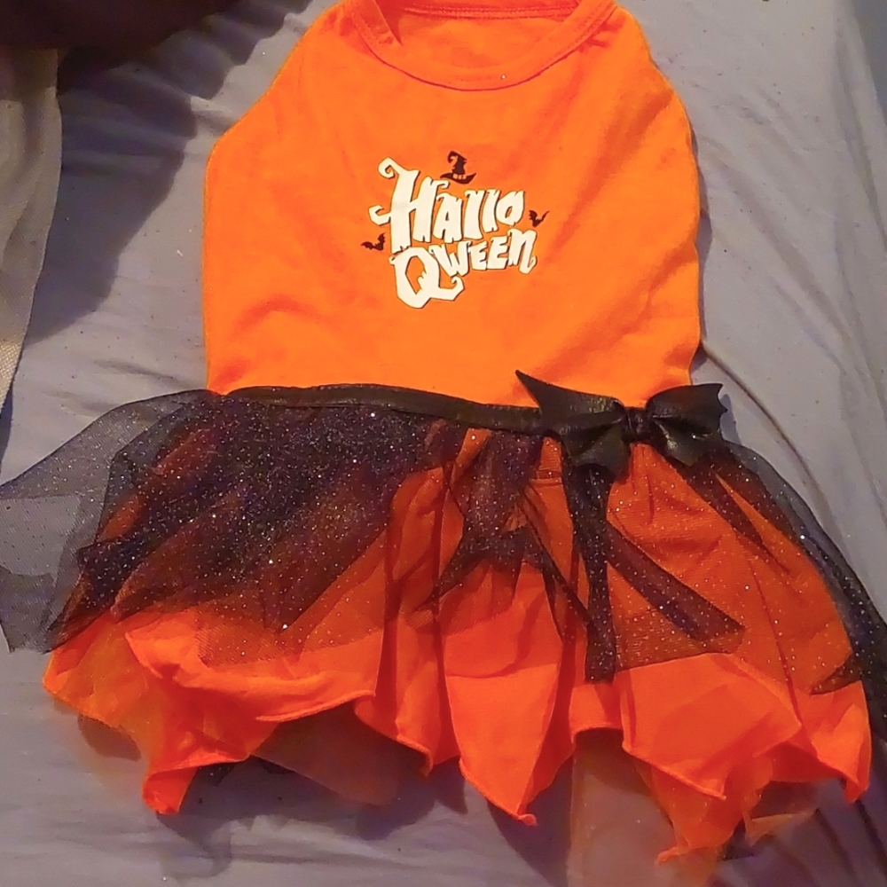 Halloween Dog Dresses SMALL